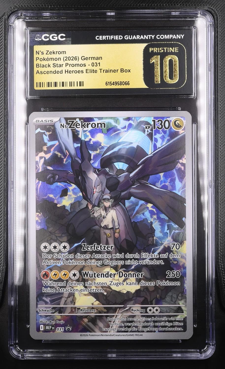 N'S Zekrom