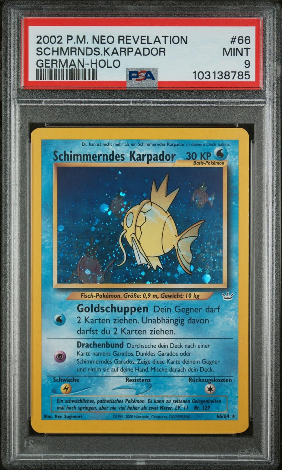 Schimmerndes Karpador