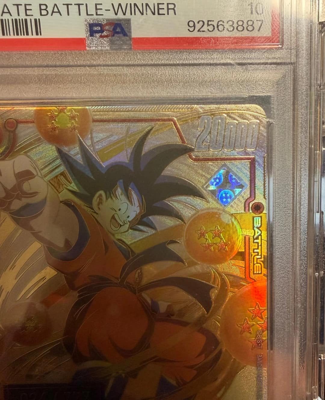 Son Goku