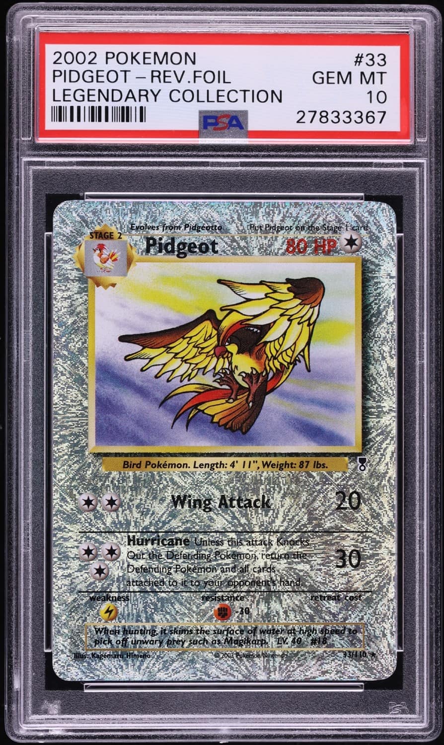 Pidgeot