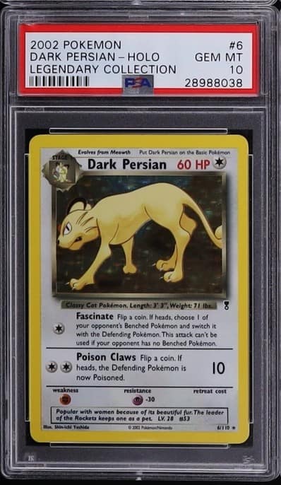 Dark Persian