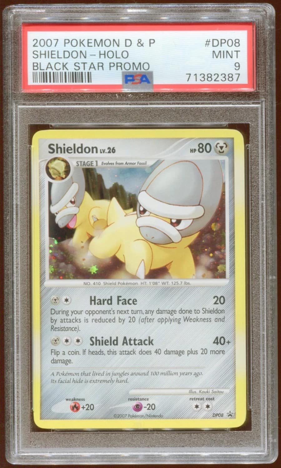 Shieldon