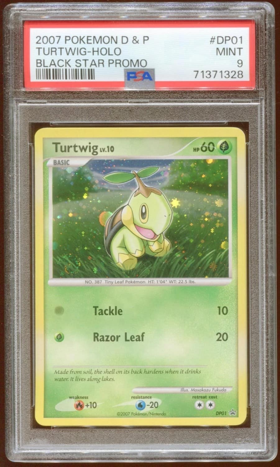 Turtwig