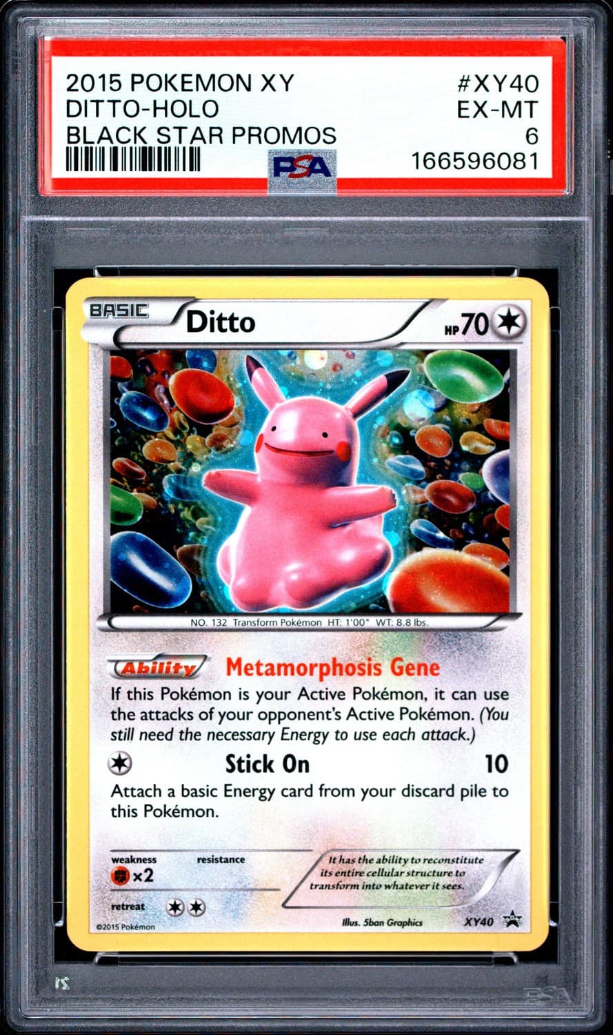 Ditto