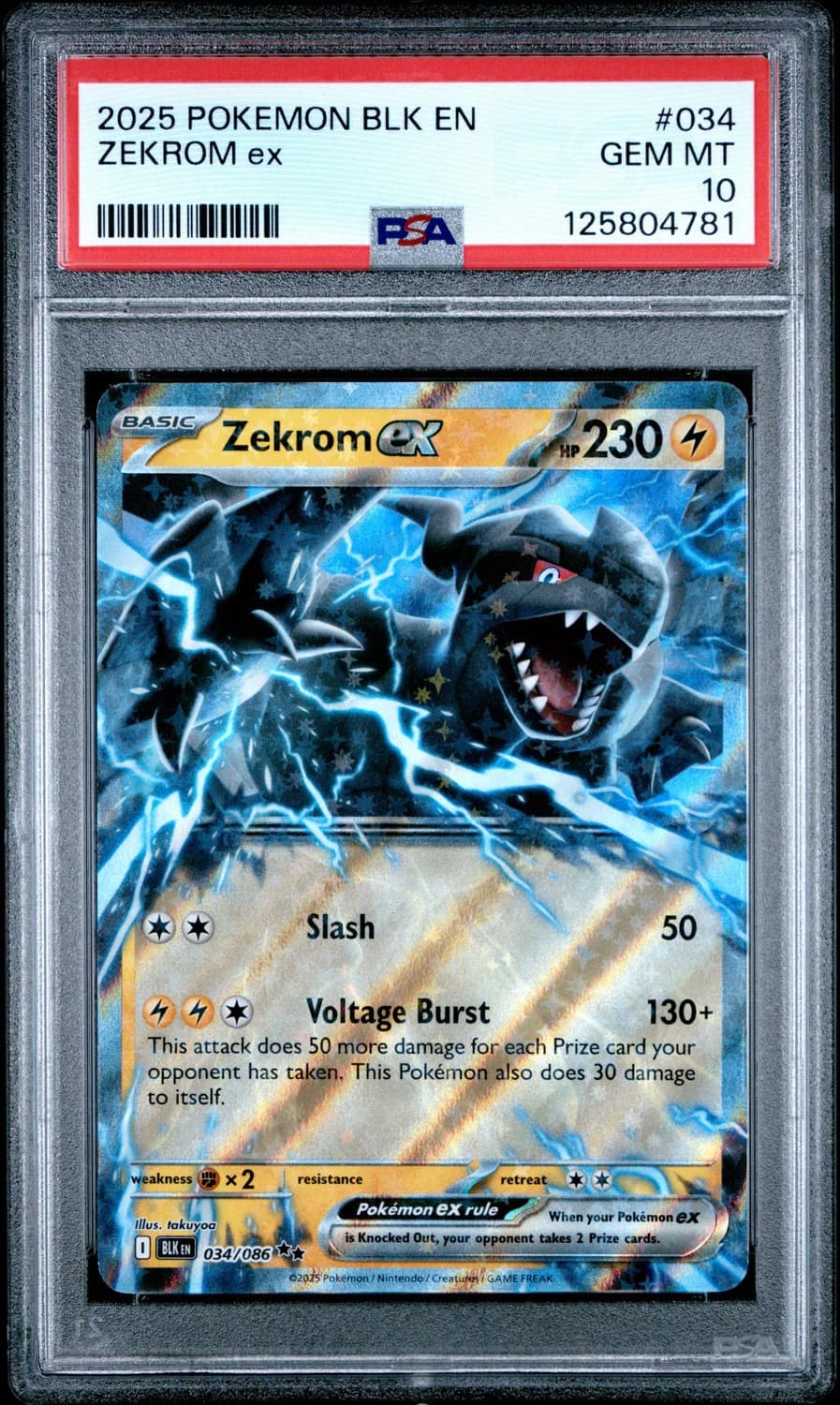 Zekrom Ex