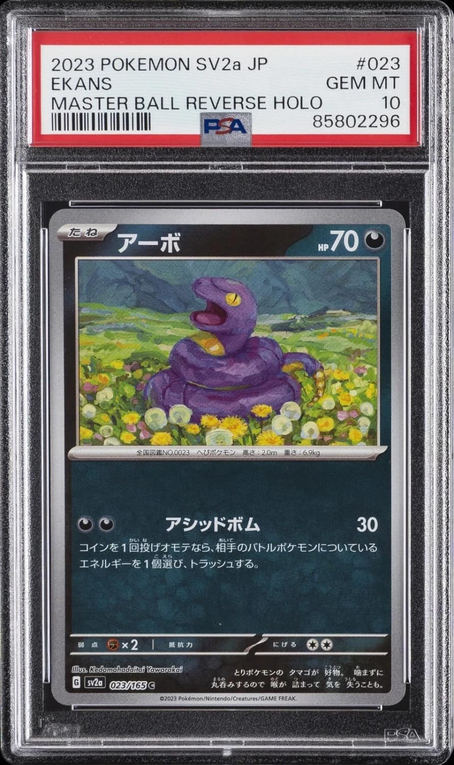 Ekans