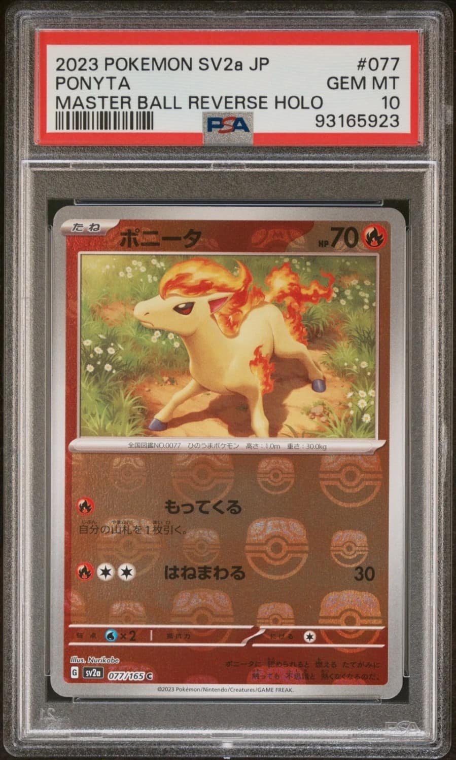 Ponyta