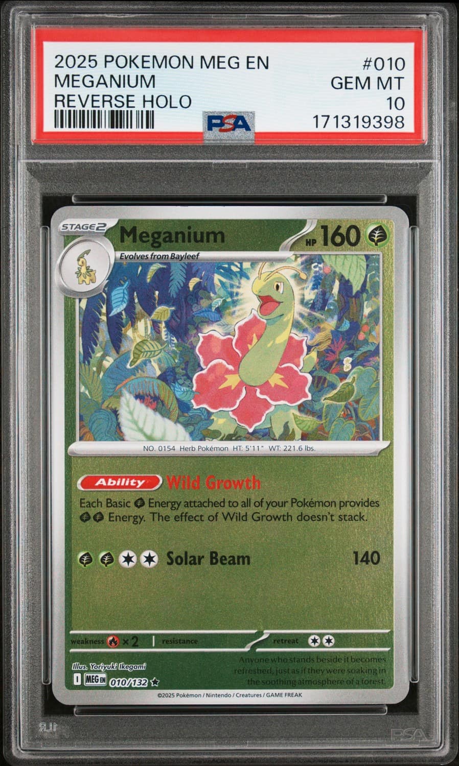 Meganium