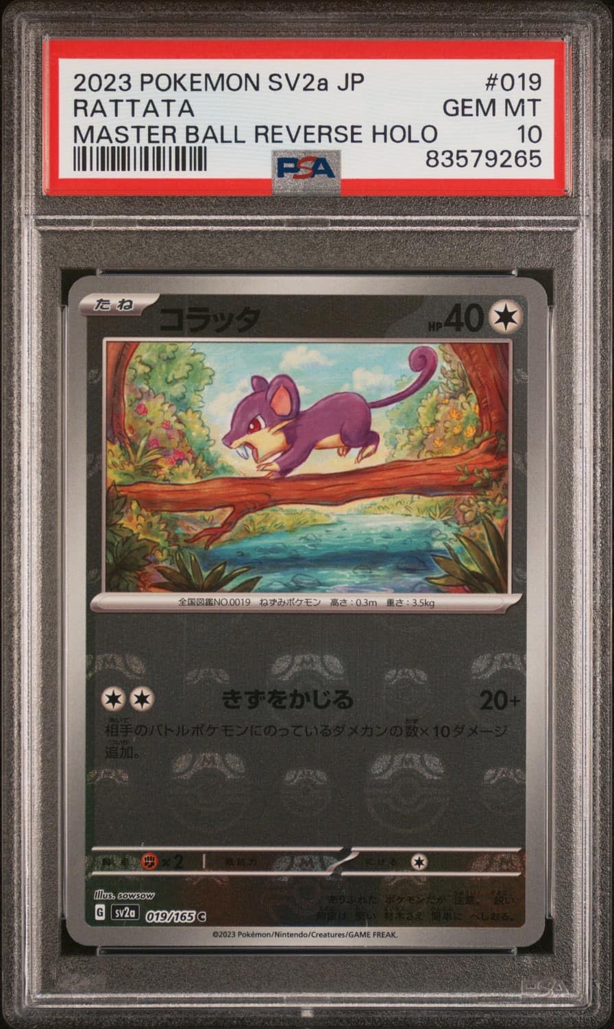 Rattata