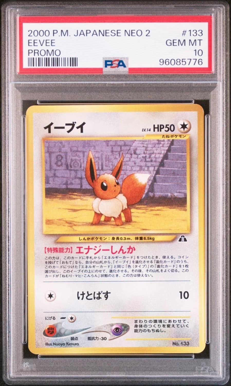 Eevee
