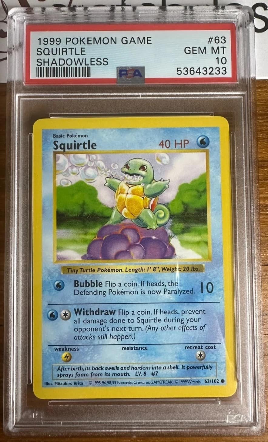 Squirtle