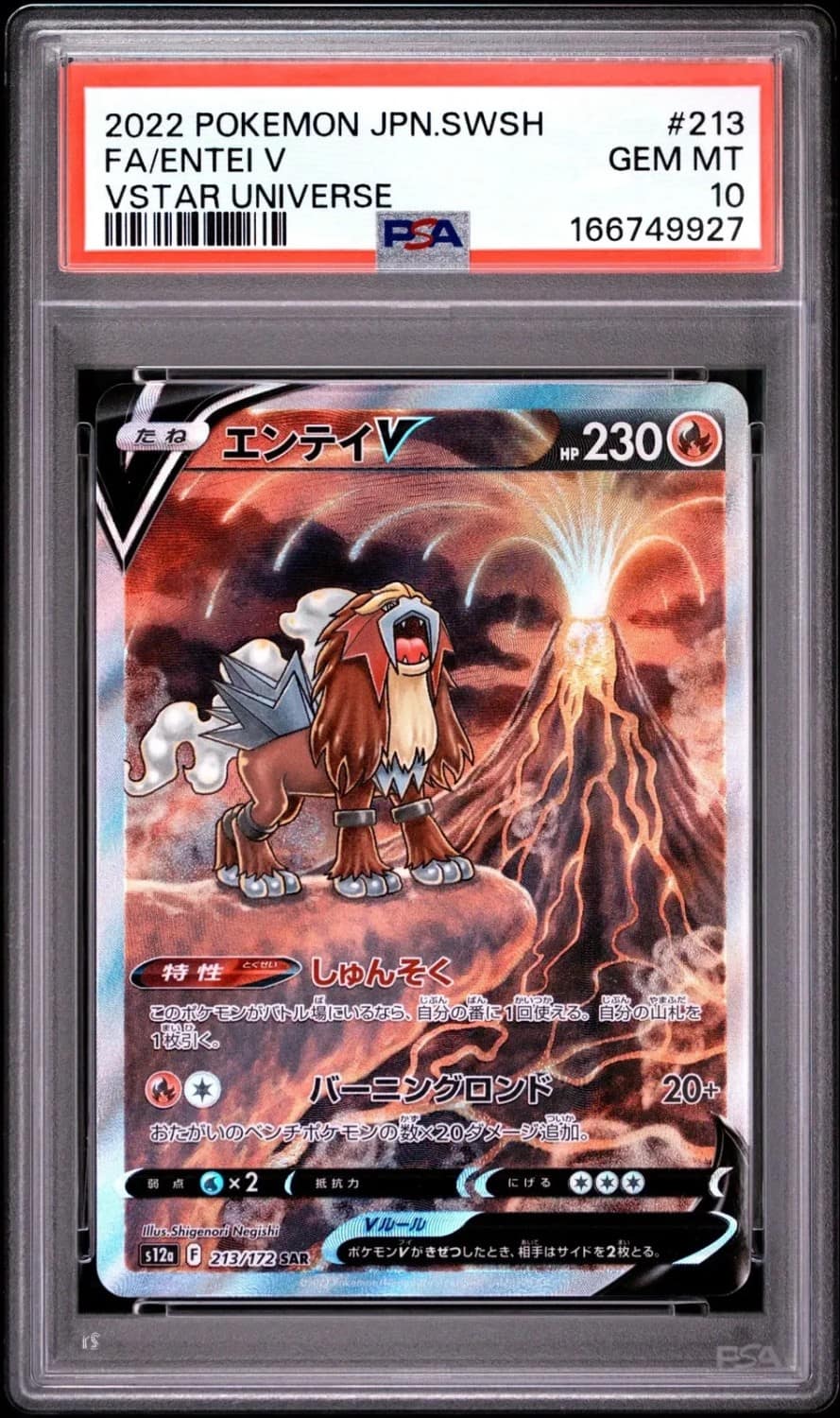 Entei V
