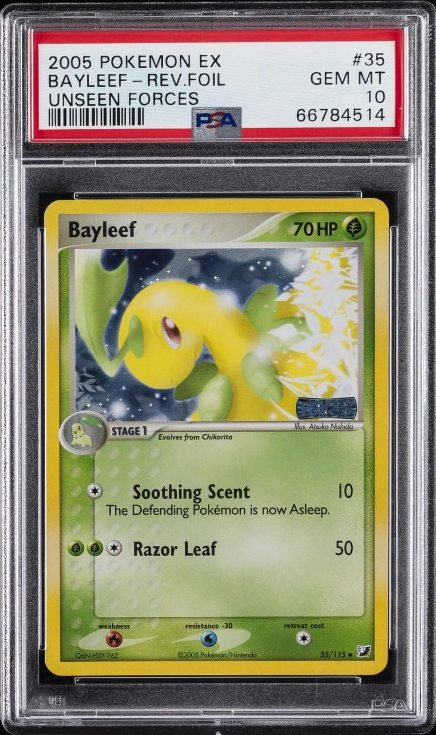 Bayleef
