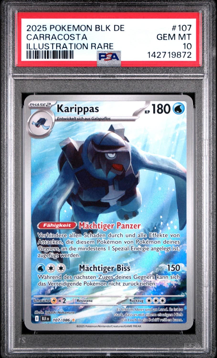 Carracosta
