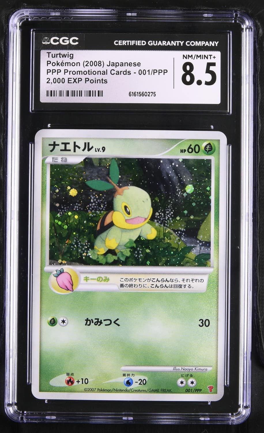 Turtwig