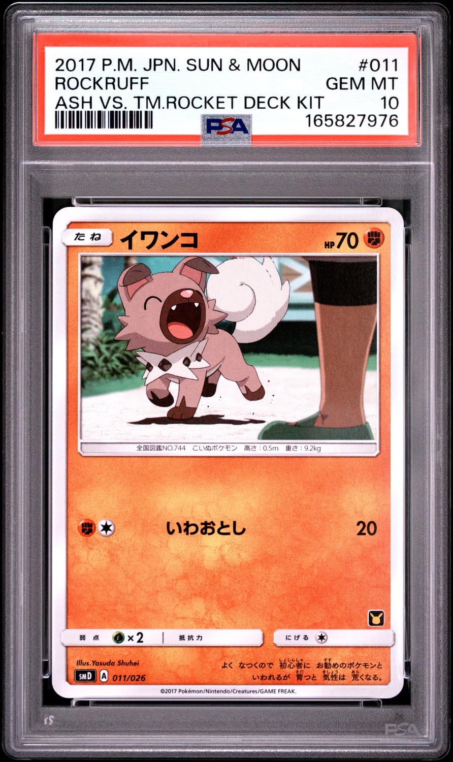 Rockruff