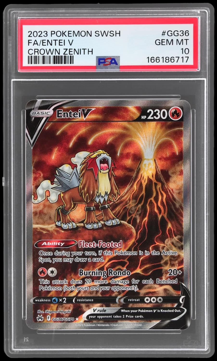 Entei V