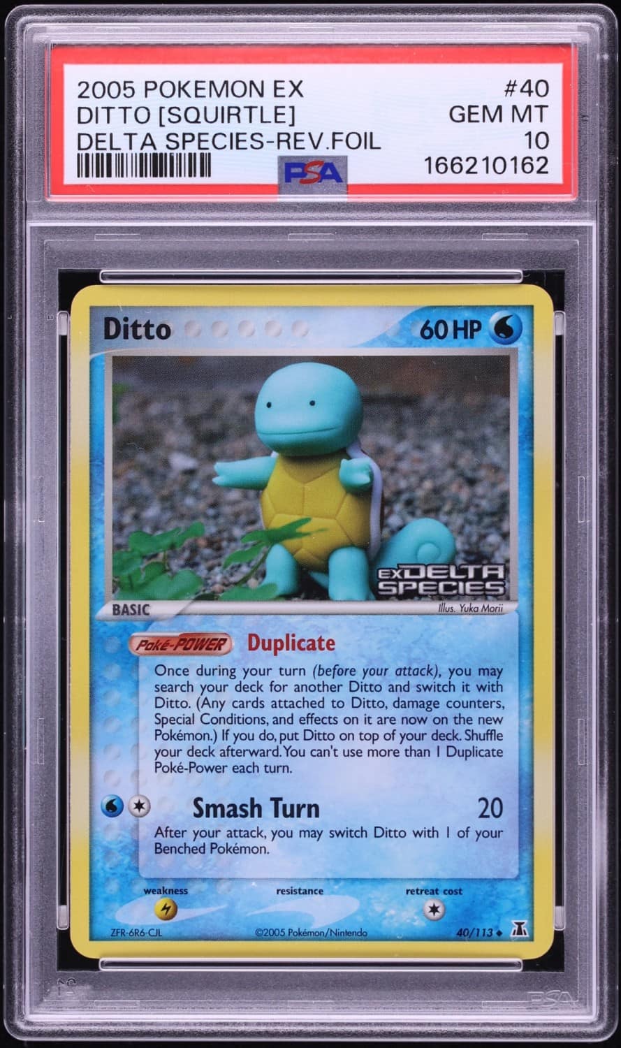 Ditto [squirtle]