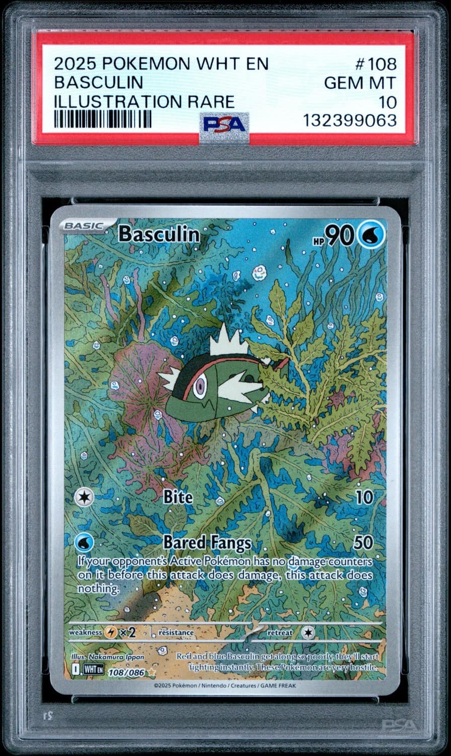 Basculin