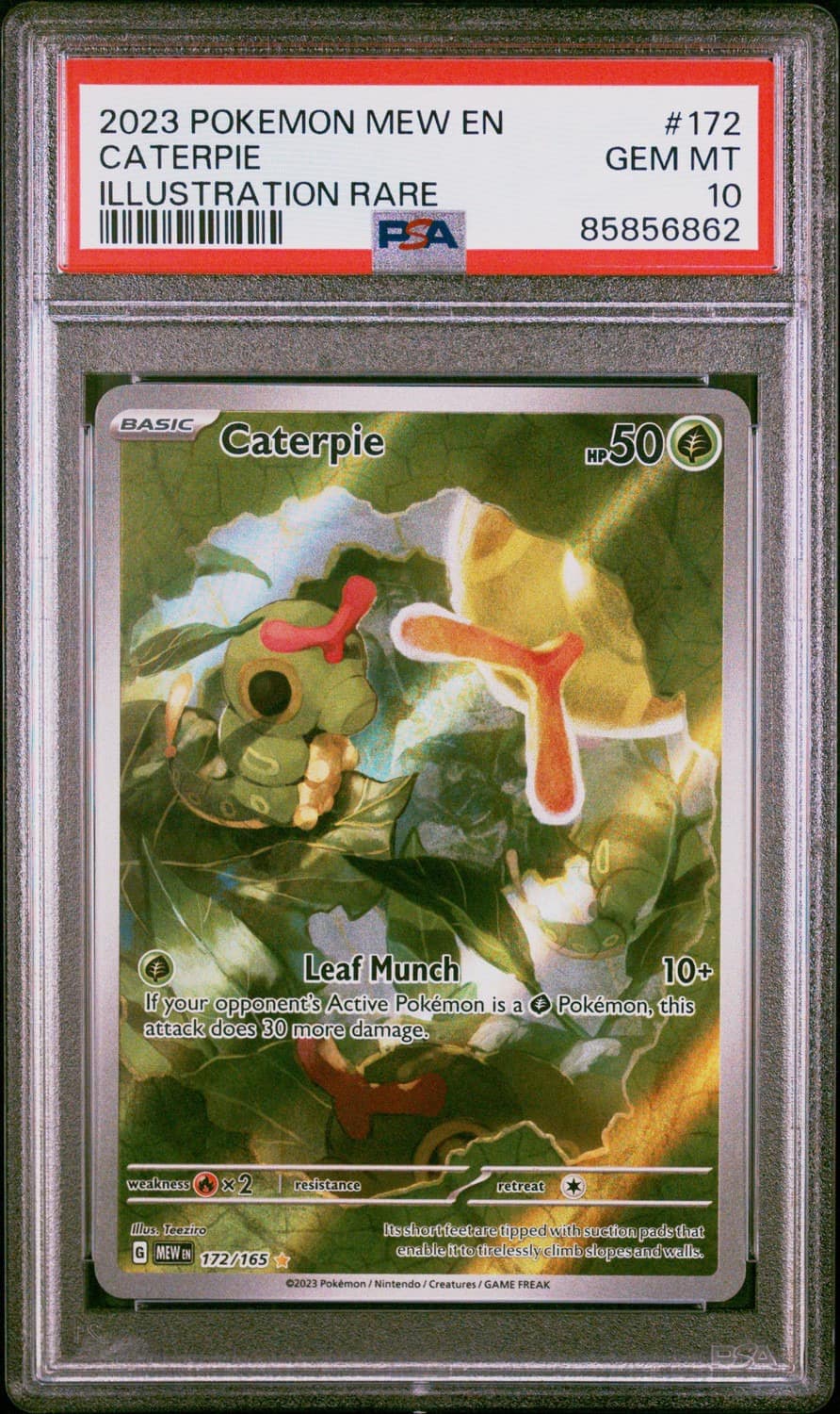 Caterpie