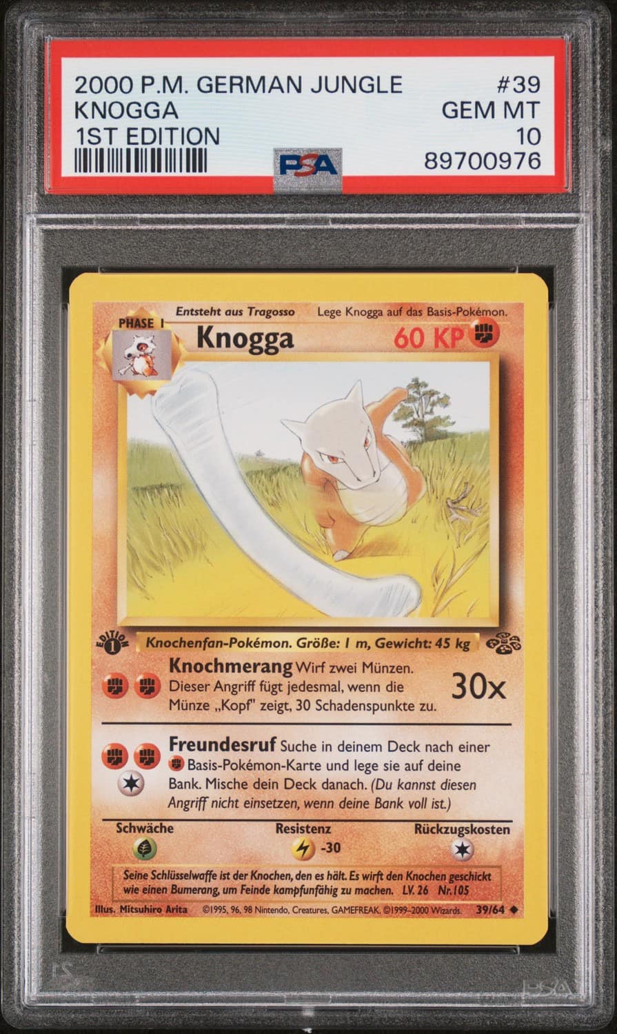 Knogga