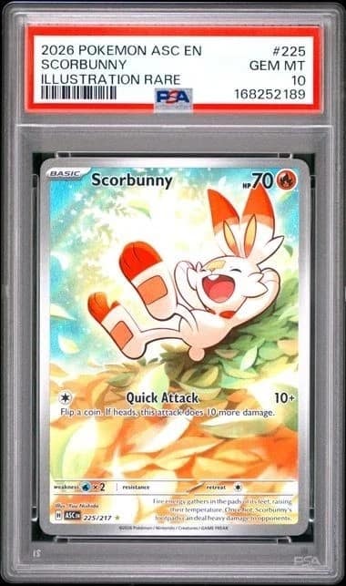 Scorbunny