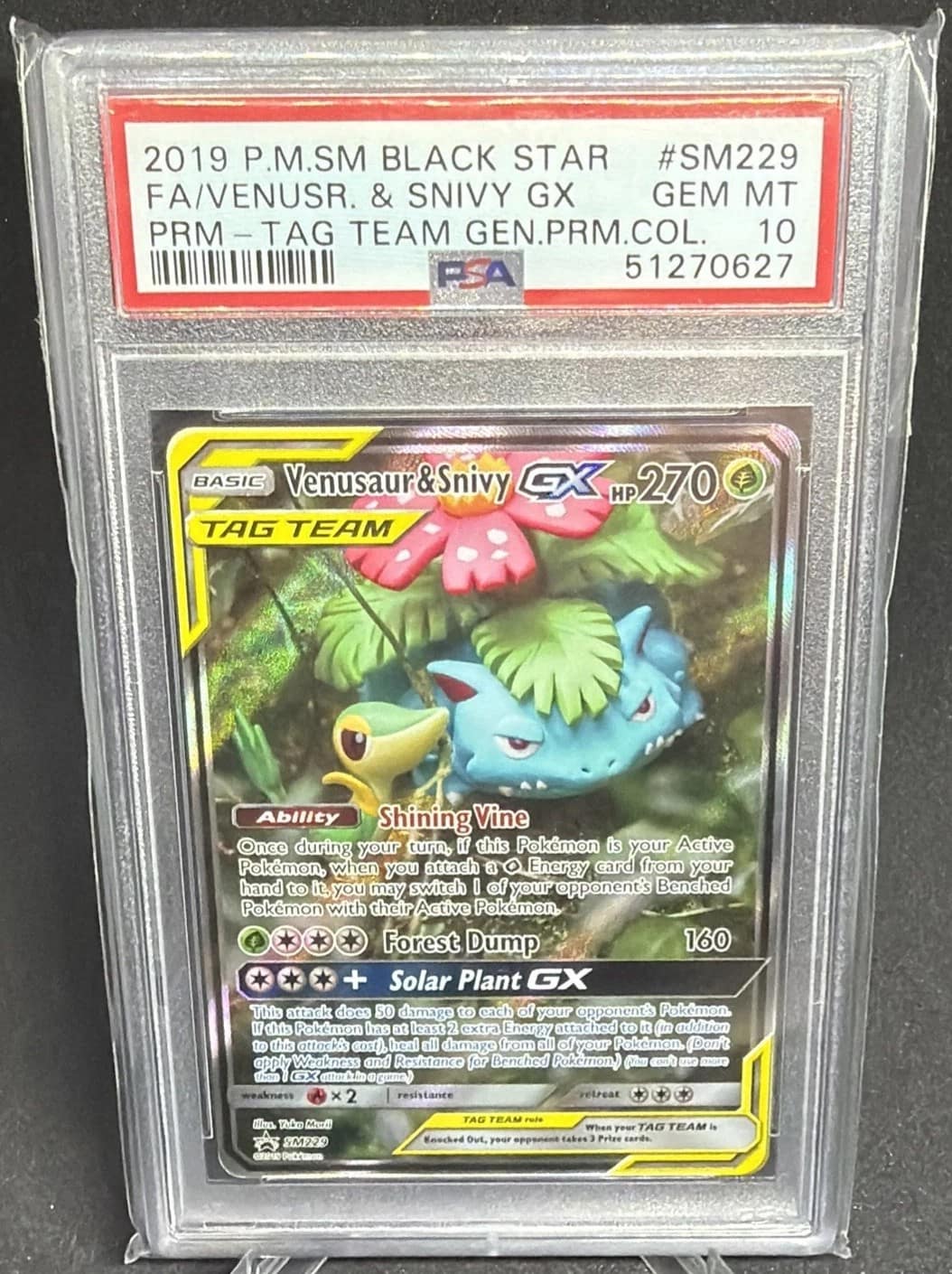 Venusaur & Snivy Gx