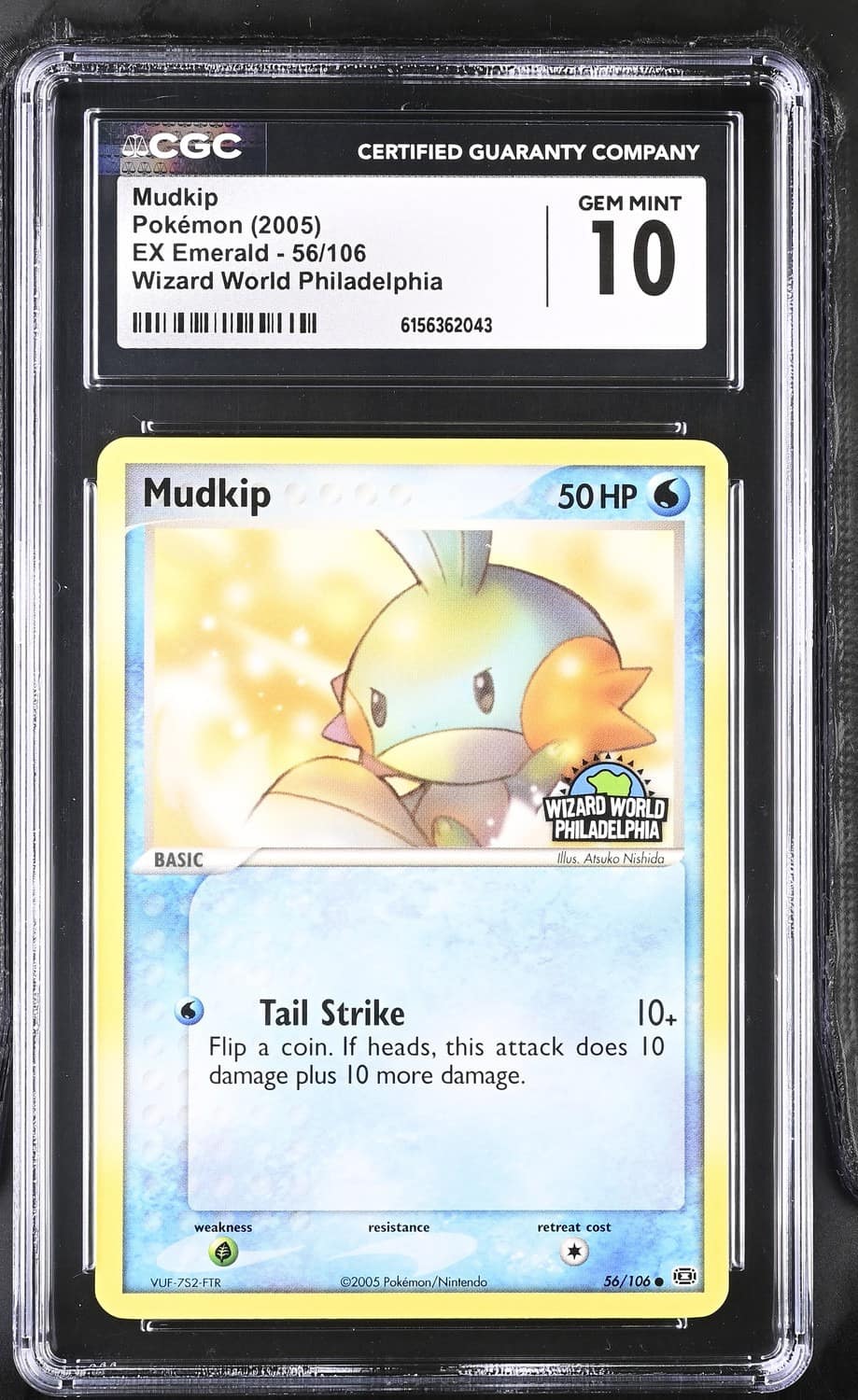 Mudkip