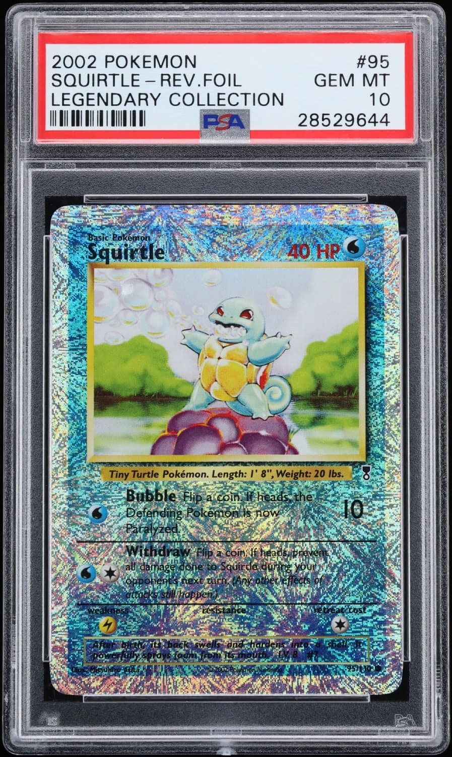 Squirtle
