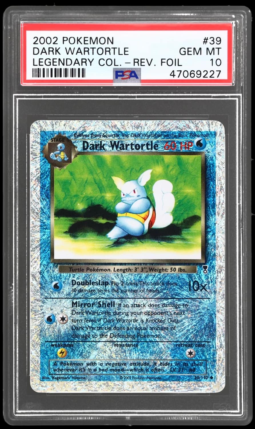 Dark Wartortle