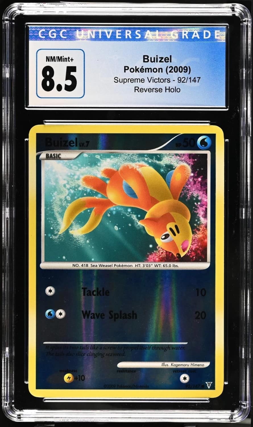 Buizel