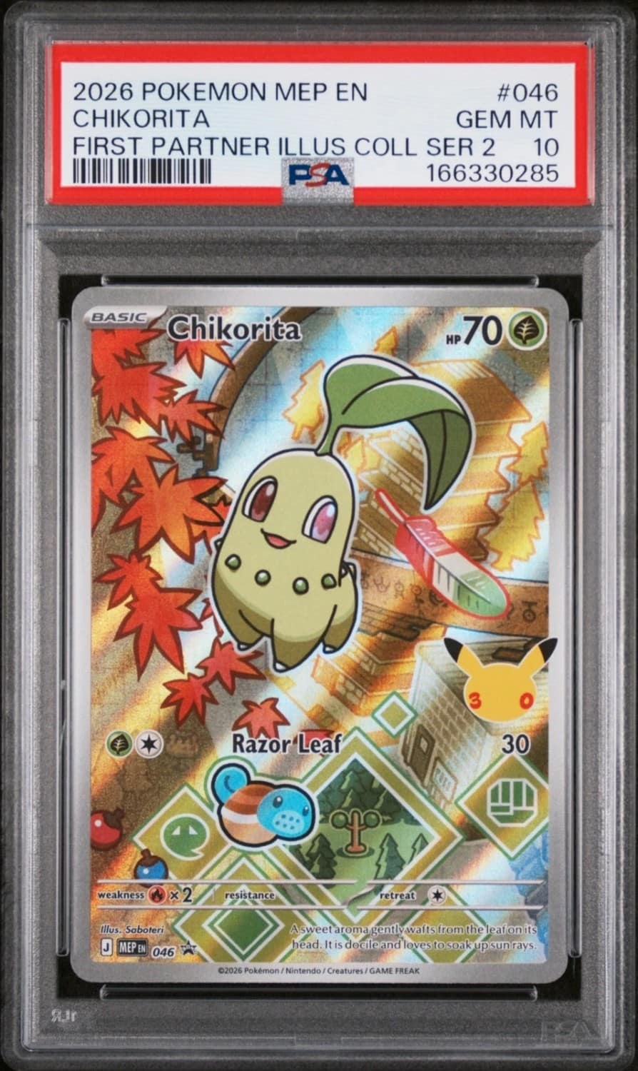 Chikorita
