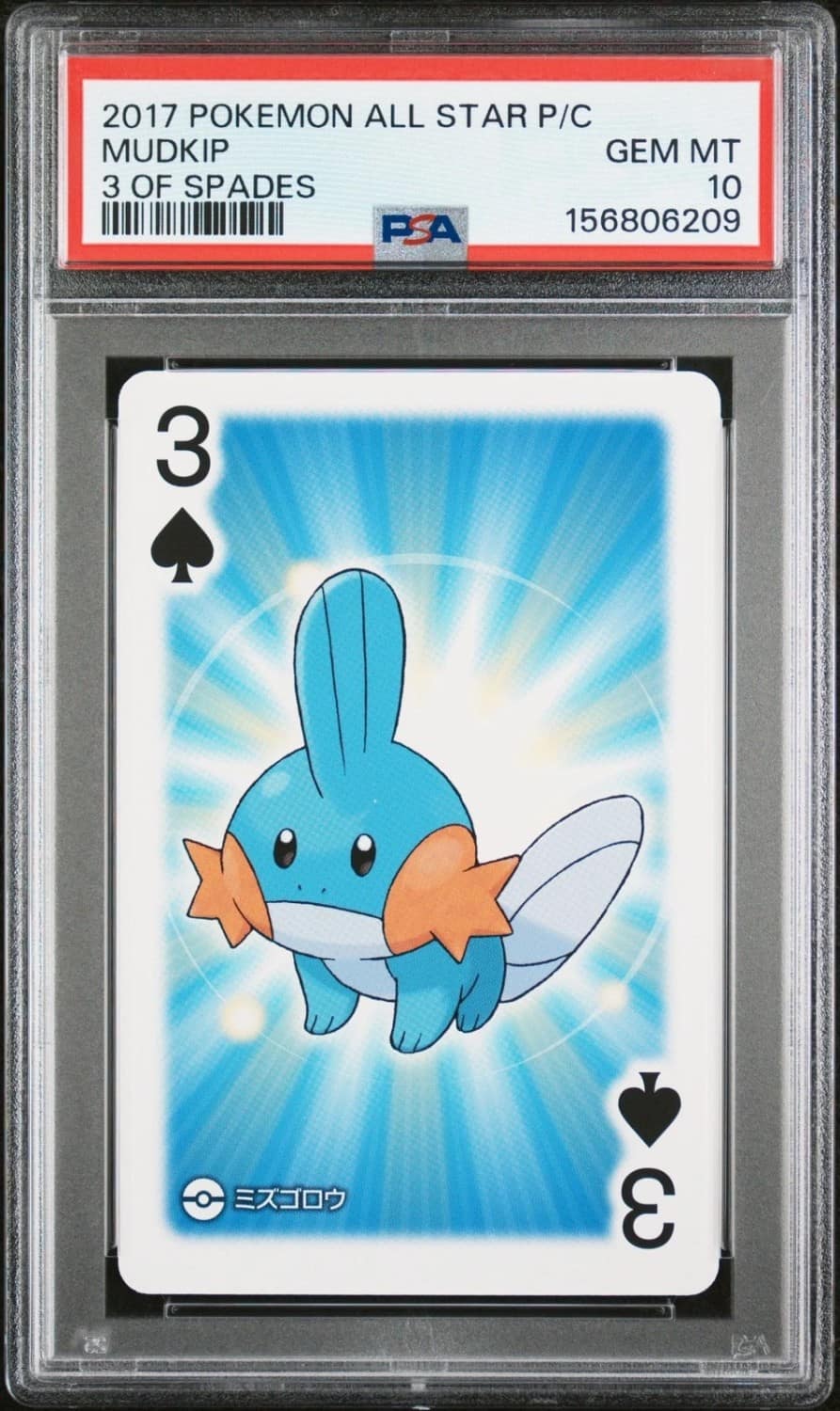 Mudkip