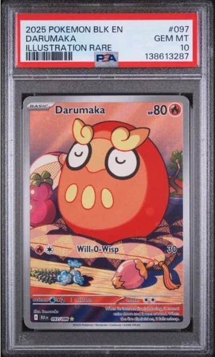 Darumaka