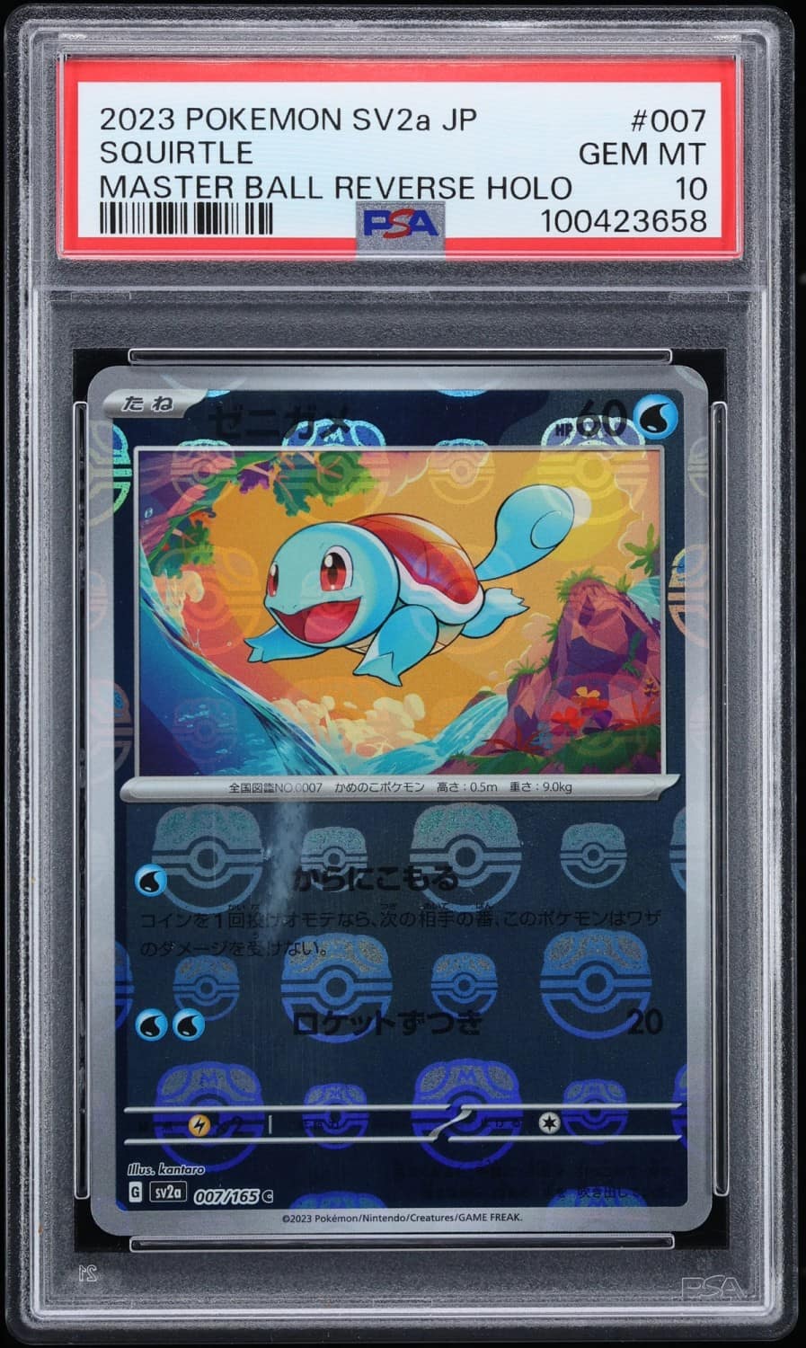 Squirtle