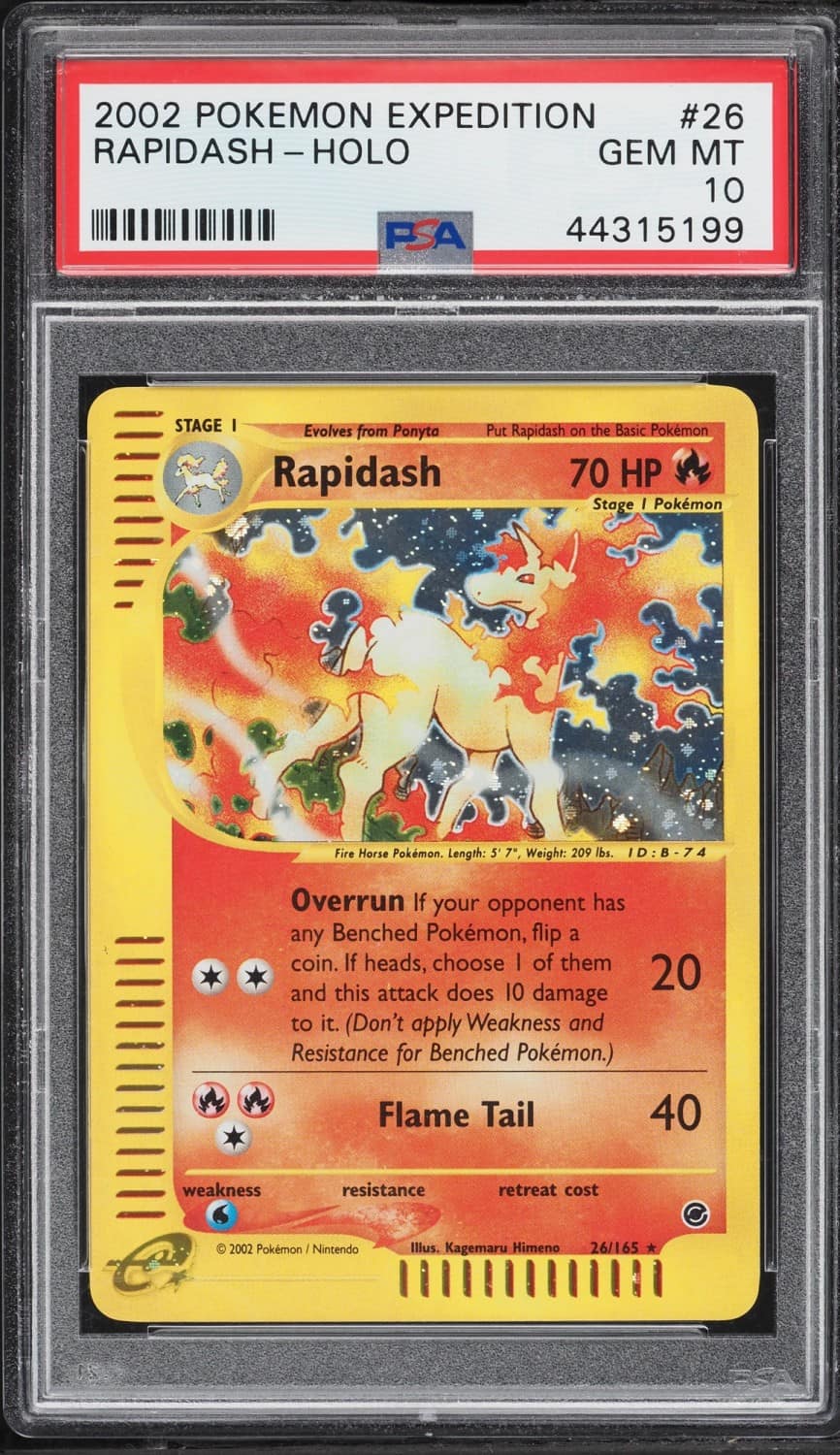 Rapidash