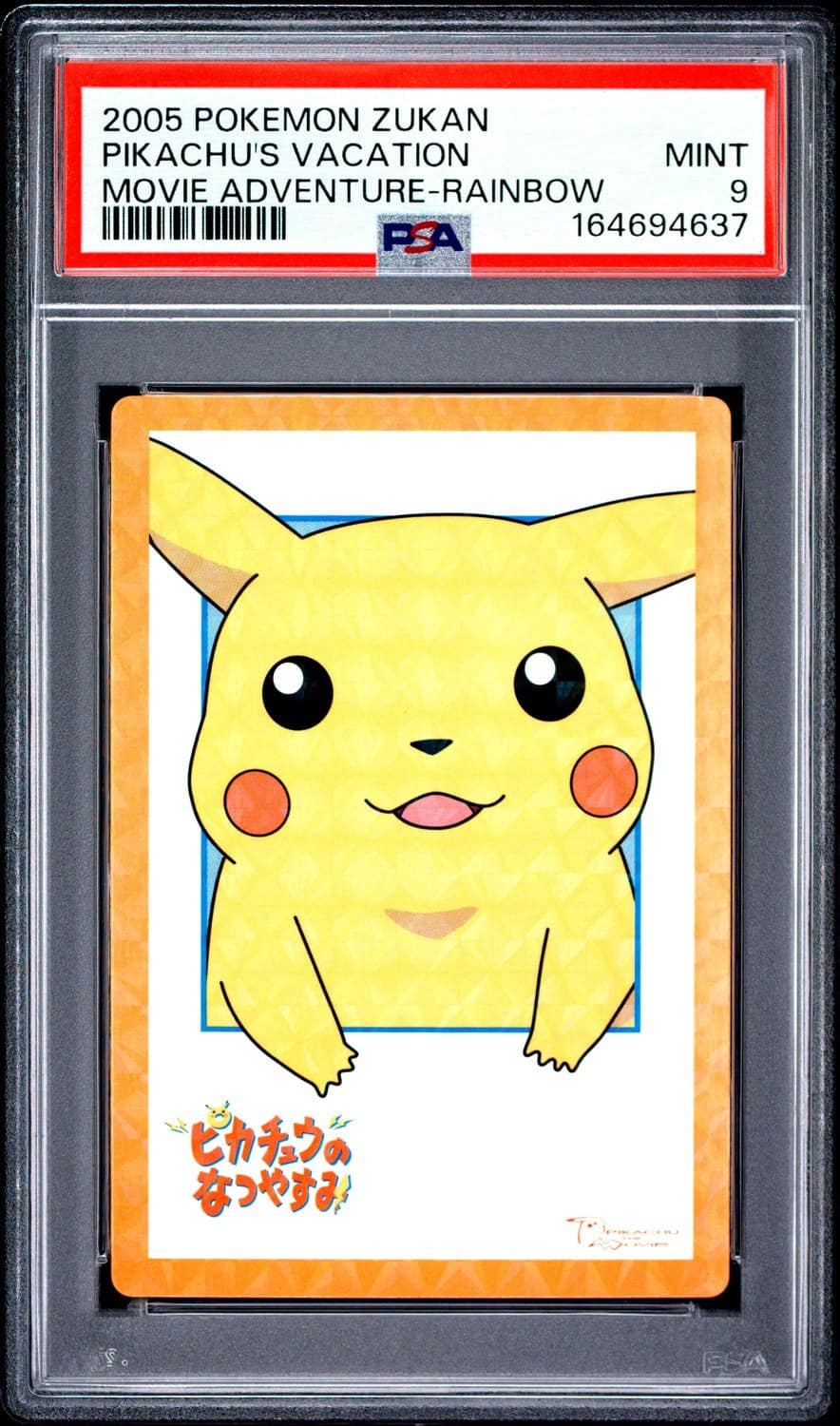 Pikachu'S Vacation