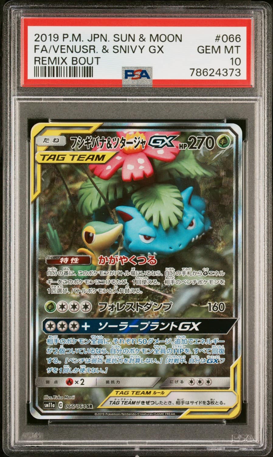 Venusaur & Snivy Gx