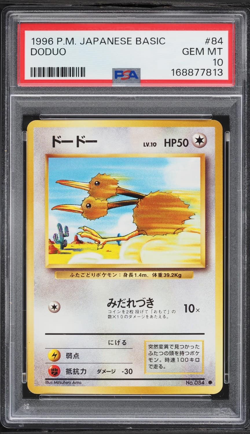 Doduo