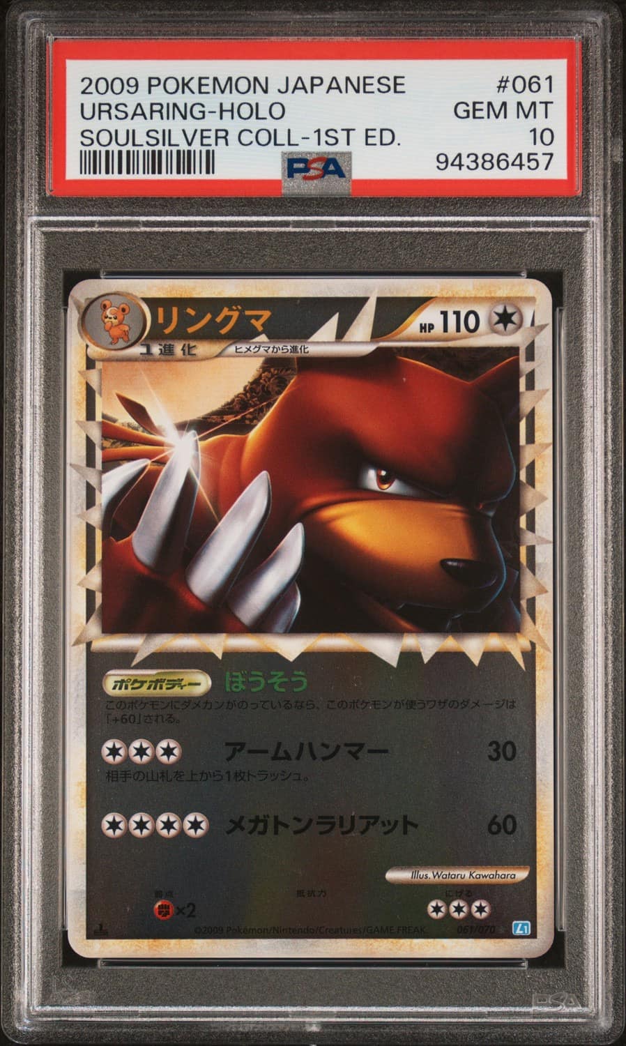 Ursaring