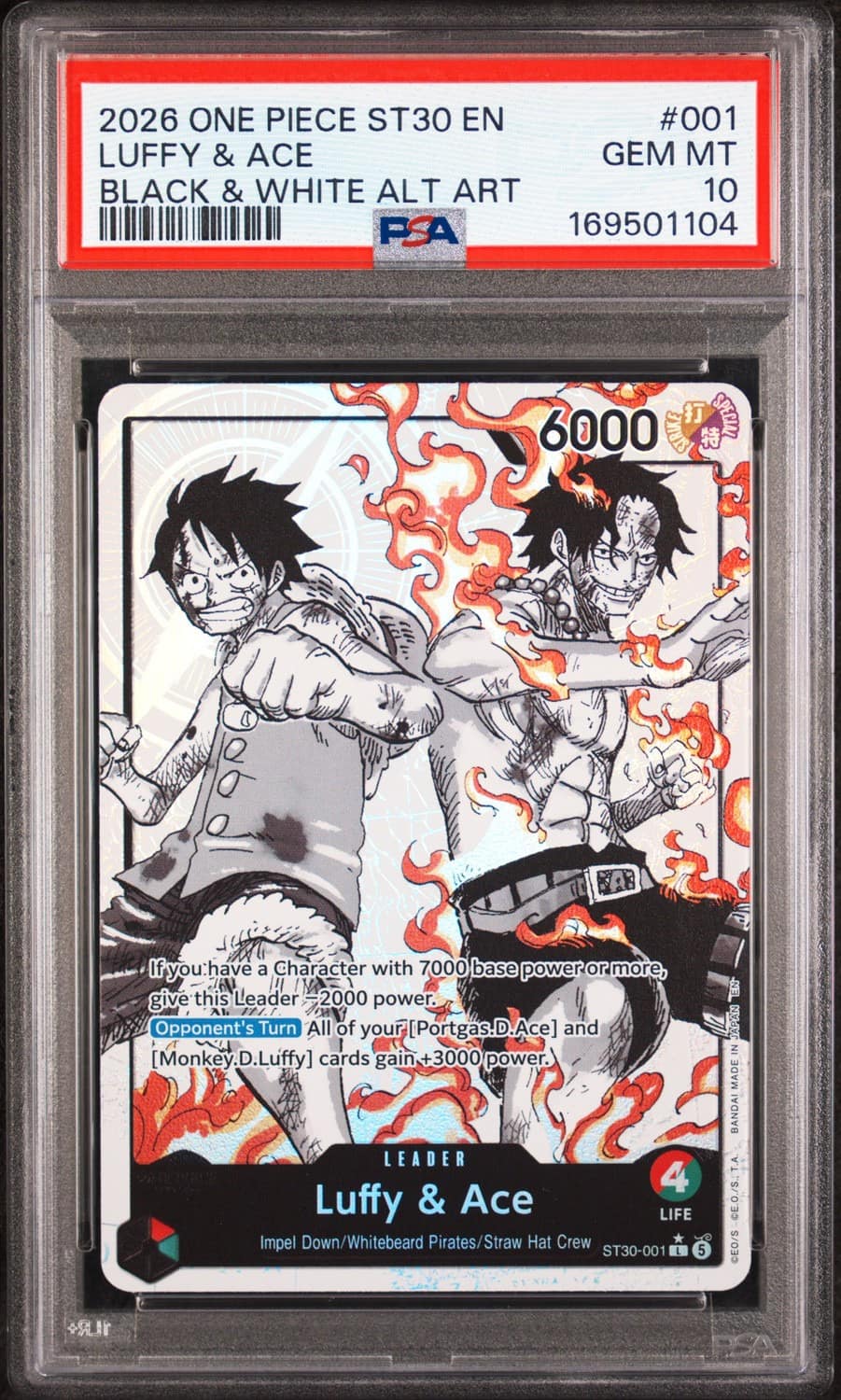 Luffy & Ace