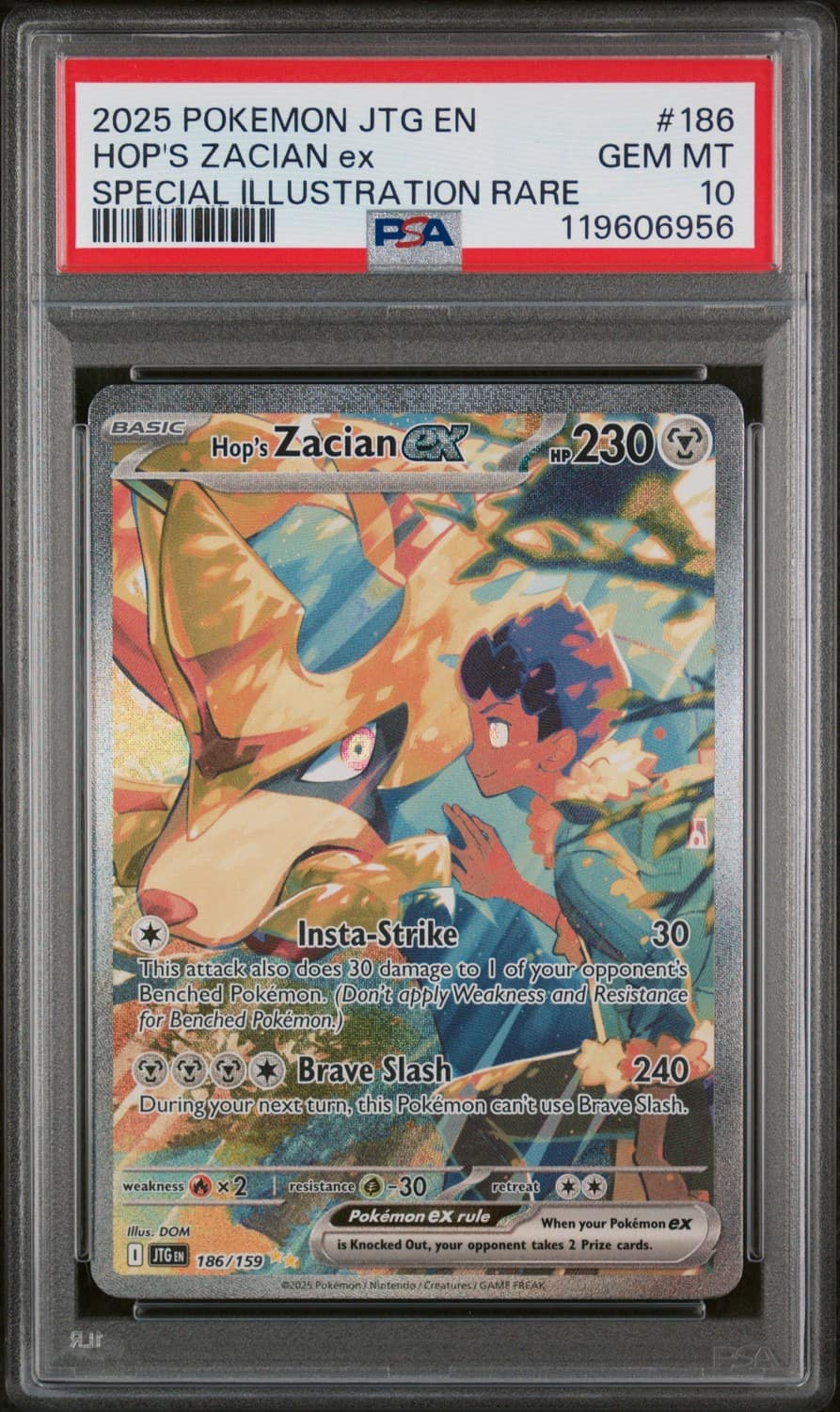 Hop'S Zacian Ex
