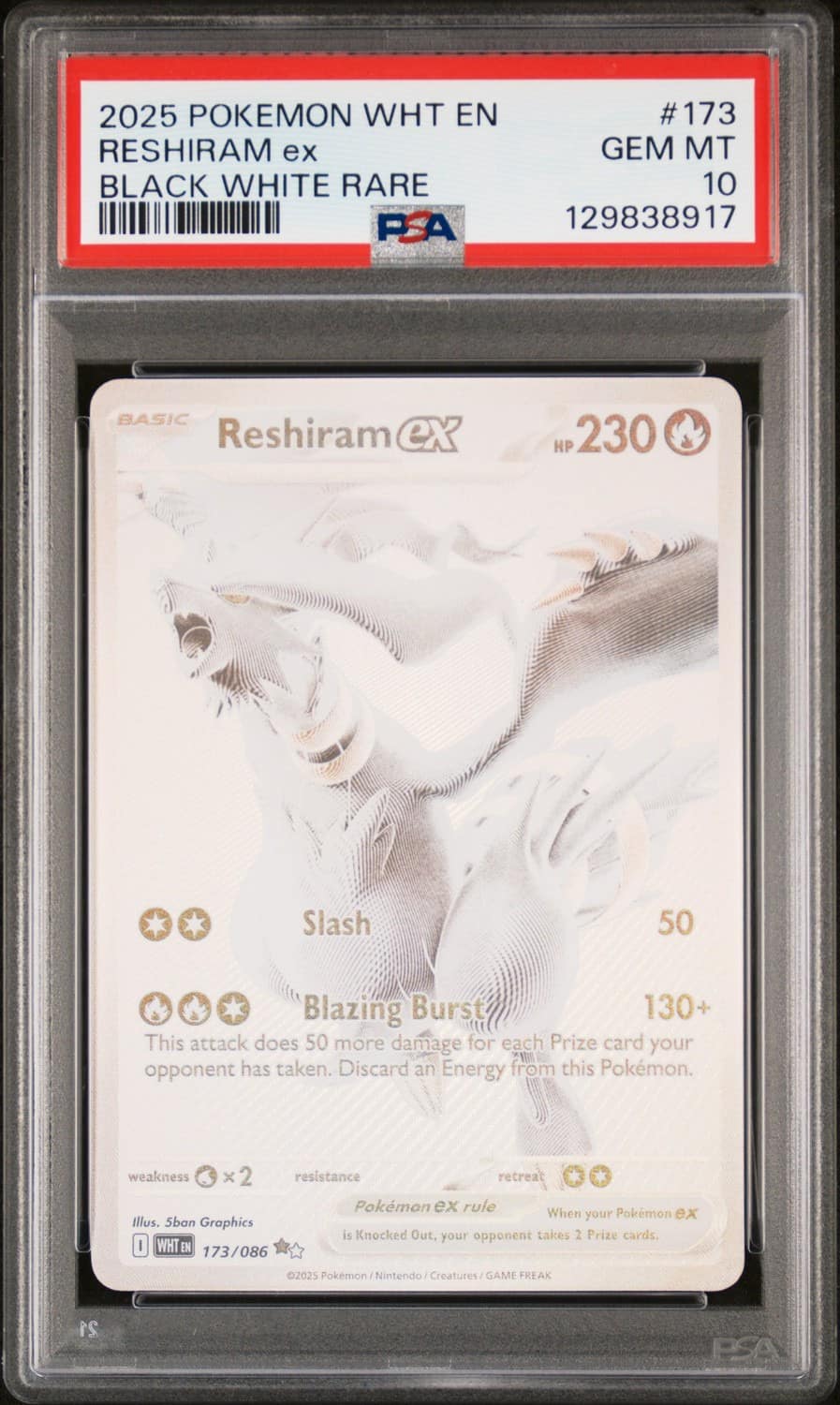 Reshiram Ex