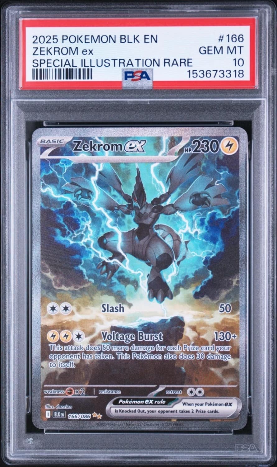 Zekrom Ex