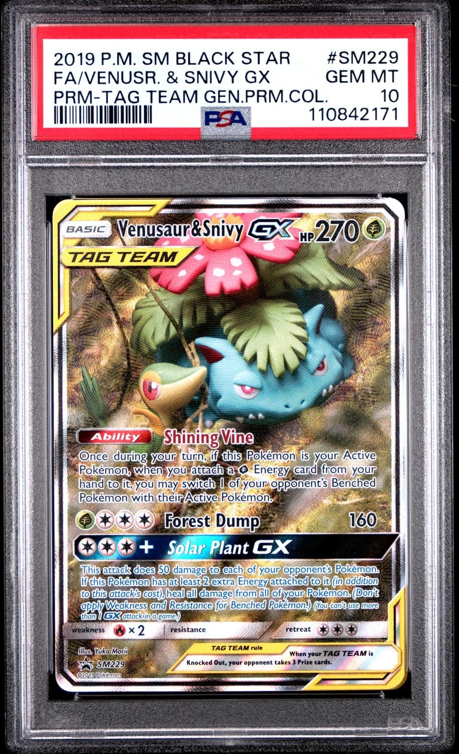 Venusaur & Snivy Gx