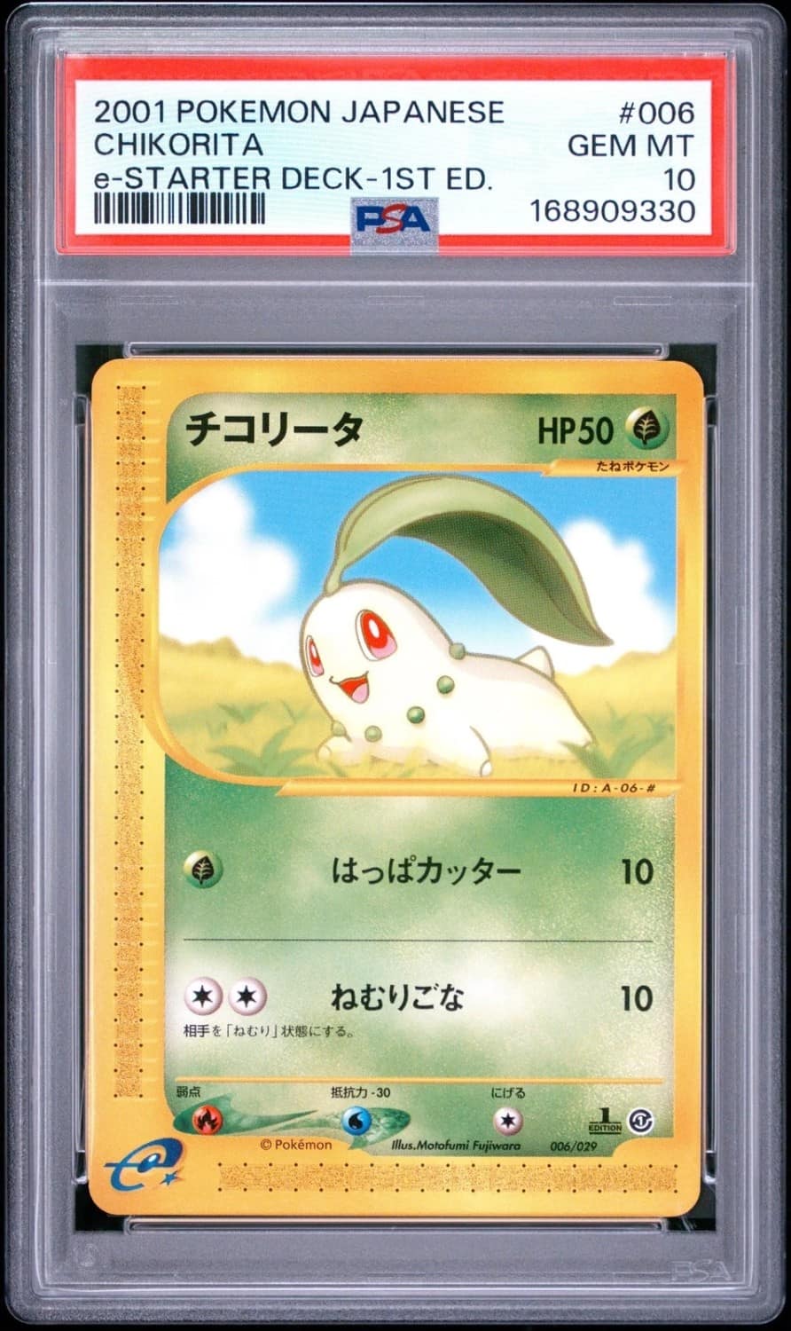 Chikorita