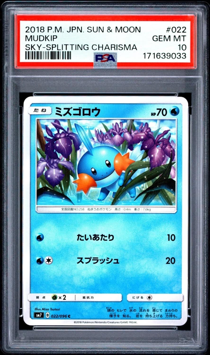 Mudkip