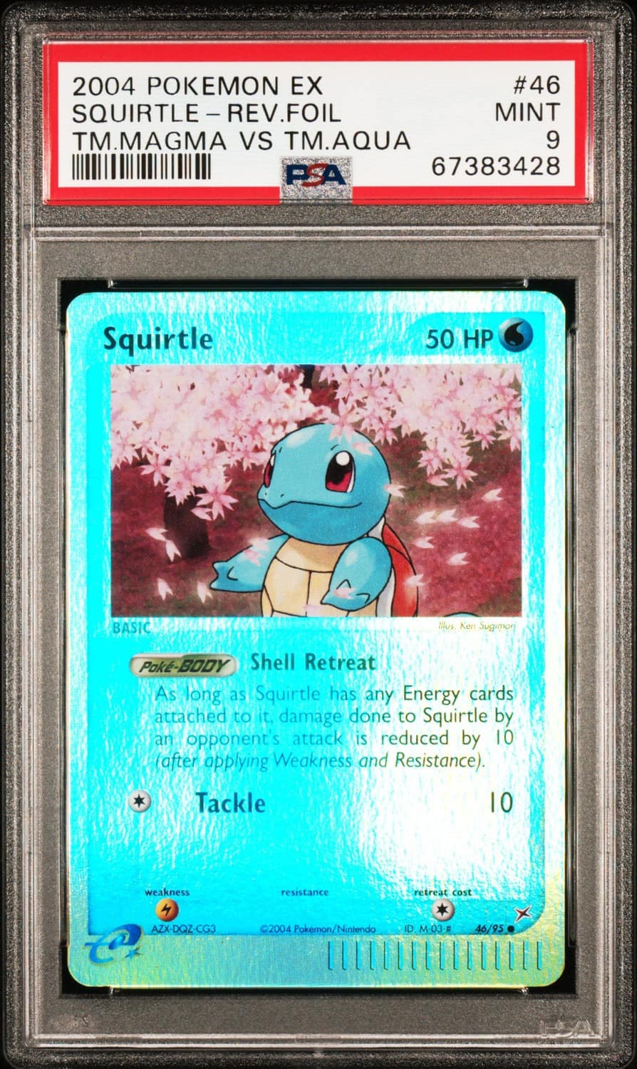 Squirtle