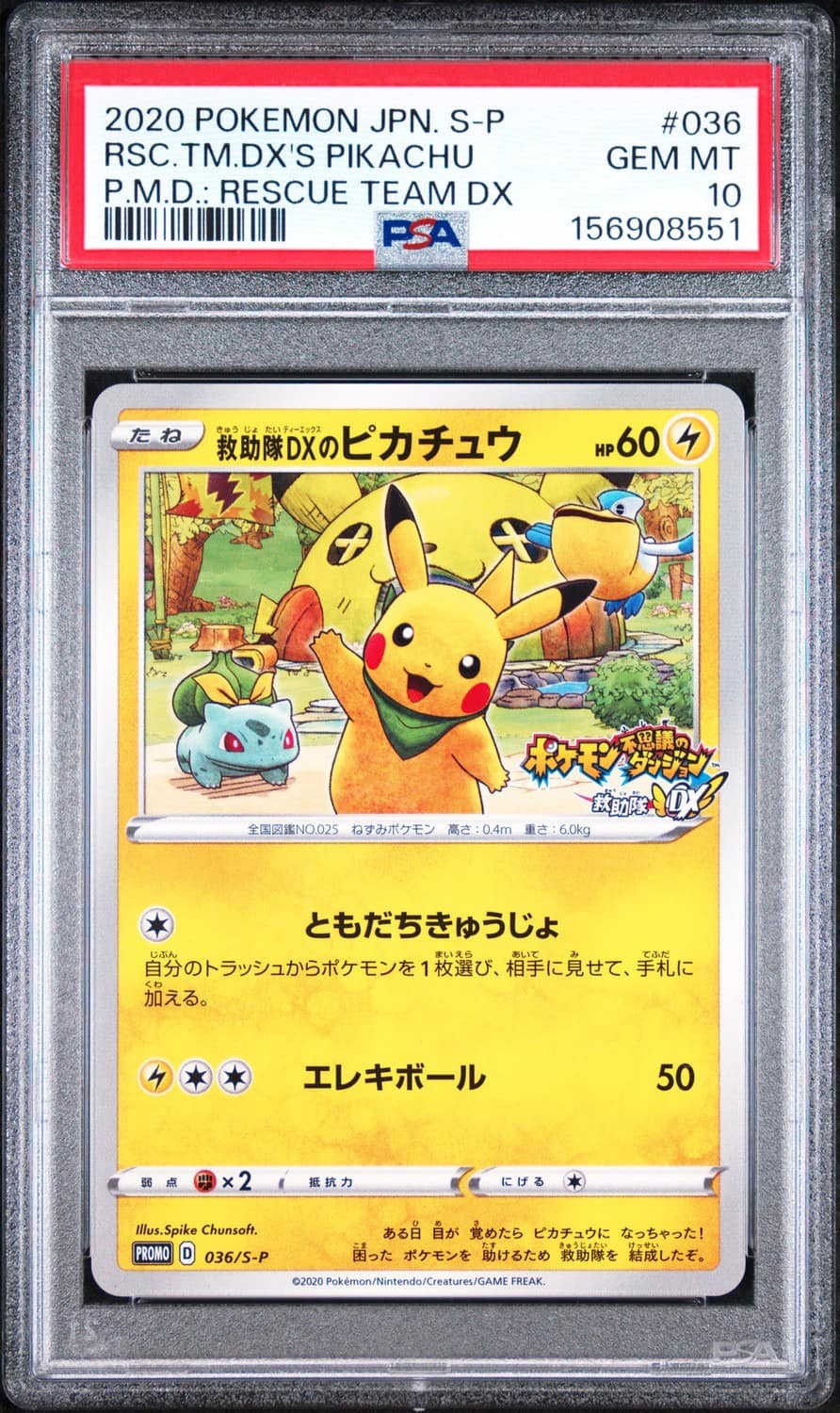 Rescue Team Dx'S Pikachu