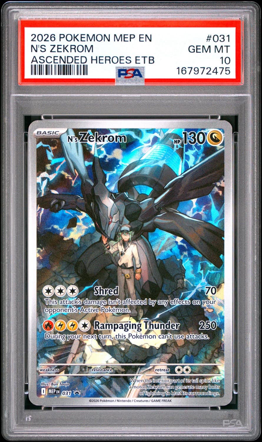 N'S Zekrom